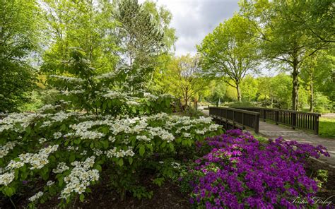 Bitte haben sie verständnis, dass wir bei hoher auslastung ihren anruf nicht annehmen können. Botanischer Garten Bremen - Torsten Döring