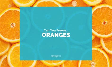 Can You Freeze Oranges Yes Heres How Freeze It