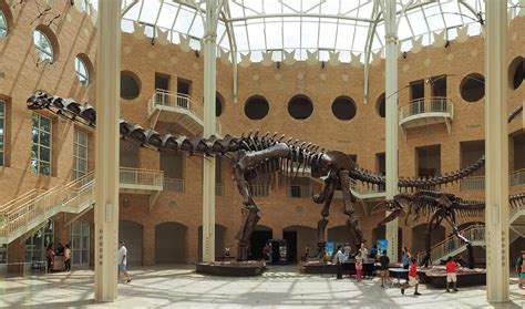Fernbank Among 11 Atlanta Attractions Teaming Up For