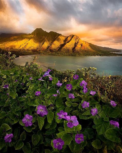 Magnificent Nature Landscapes Of Hawaii By Micah Roemmling Nature