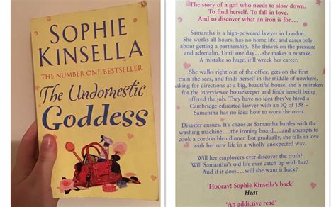 The Undomestic Goddess Book Review Confessions Of A Book Hoarder