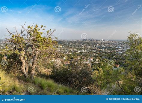 Beautiful Los Angeles Skyline Stock Image Image Of Cityscape