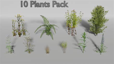 3d Asset Plants Pack Cgtrader