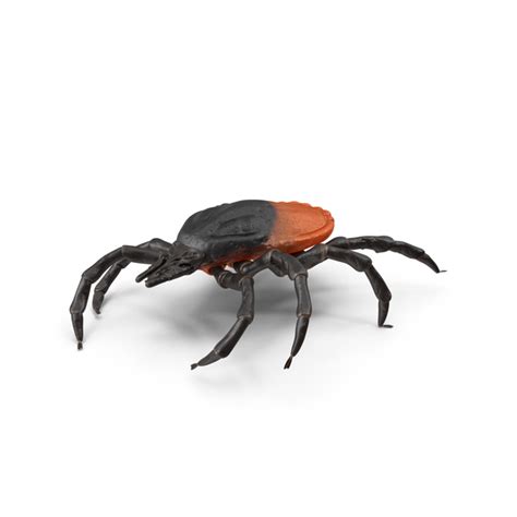 Tick Crawling Pose Png Images And Psds For Download Pixelsquid S120482107