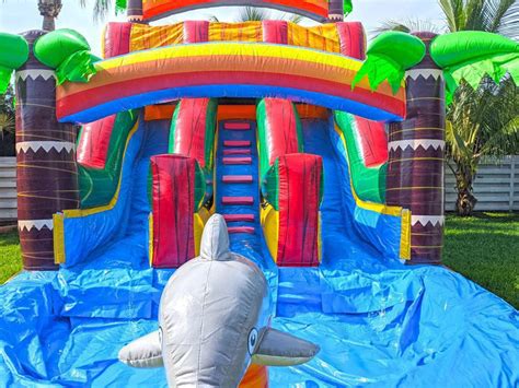 16ft Dolphins Double Lane Waterslide S33 Moms Party Rental