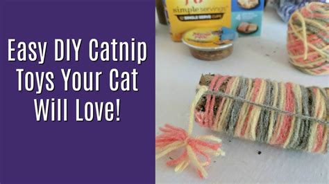 Easy Diy Catnip Toys Youtube