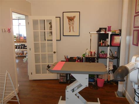 Pet Grooming Supplies, Pet Grooming Salon, Dog Grooming Shop, Grooming