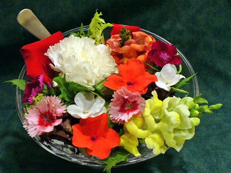 Cooking With Edible Flowers Tips And Hints