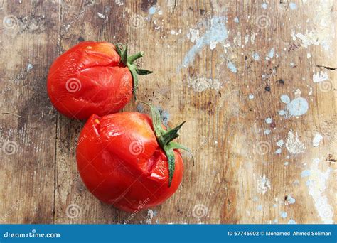 Rotten Tomato Stock Photo Image Of Food Rotted Healthy 67746902