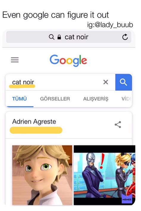 Miraculous Ladybug And Chat Noir Funny Memes Miraculous Ladybug Memes