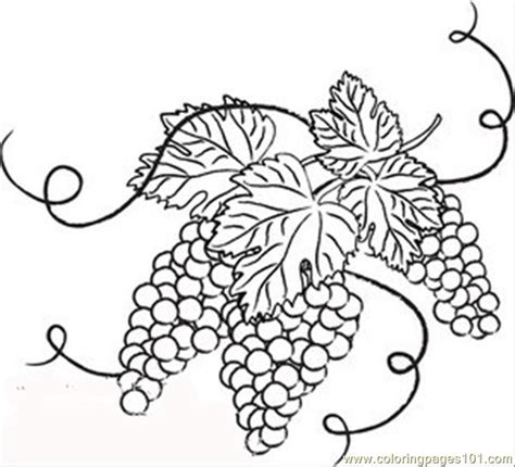Flower Vine Clipart At Getdrawings Free Download