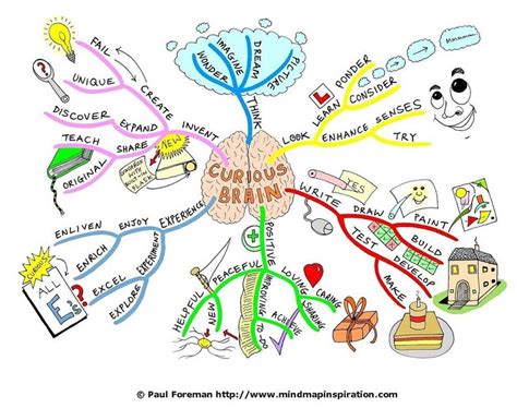 The Curious Brain Mind Map Brain Mapping Mind Map Art