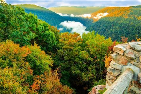 Maybe you would like to learn more about one of these? 12 Trails In West Virginia Outdoor Enthusiasts Must Take