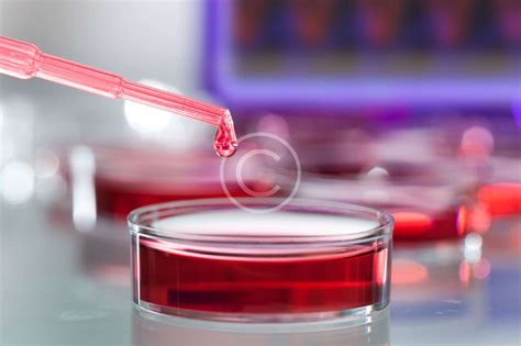 Bacterial Viability… – ICBR international Centre for bioequivalence