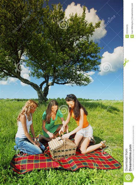 Girlfriends On Picnic Stock Image Image Of Holiday Park 31510415