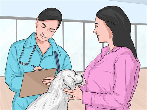3 Ways To Feed A Sick Dog Wikihow