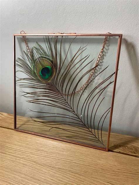 Peacock Feather Frame Peacock Glass Frame Etsy