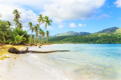 Pick your all inclusive family resort or a relaxing all inclusive resort for adults only. Samaná y sus idílicas playas - Blog welcomebeds.com