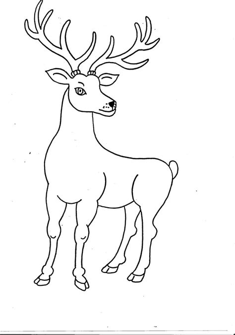 Pin by Ondřej on Omalovánky Zvířata Moose art, Animals, Art