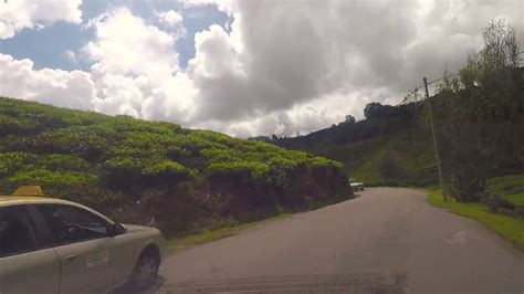 The gps coordinates for sungai palas tea plantation is n04° 30.958' e101° 24.803'. Cameron Highland :: Road To Sg Palas Tea Plantation - YouTube