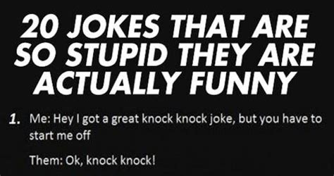 Jokes That Are So Stupid They Are Actually Funny