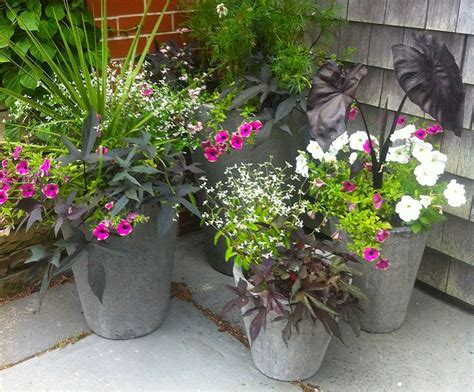 Shop window boxes to create joy at home. Nantucket Window Boxes and Containers for your Nantucket ...
