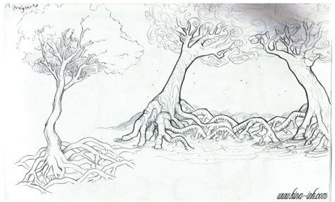 Mangrove Sketch At PaintingValley Com Explore Collection Of Mangrove