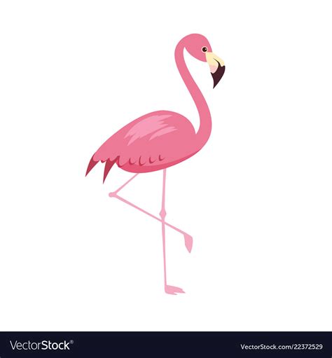 Pink Flamingo Isolated Royalty Free Vector Image