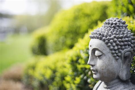 What Does It Mean To Practice Buddhism