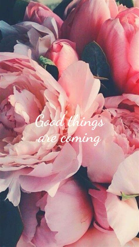Good Things Are Coming Flowers Wallpaper Rose