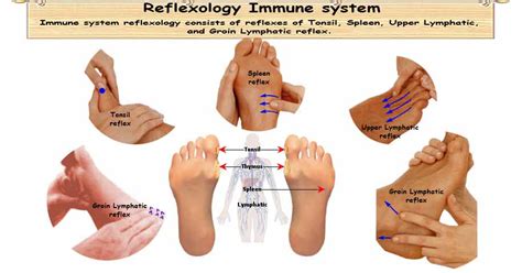 Reflexology Immune System 5 Surprising Reflexes To Boost Immunity