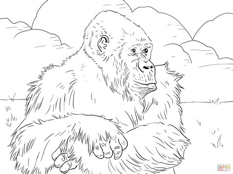 Mountain Gorilla Cartoon