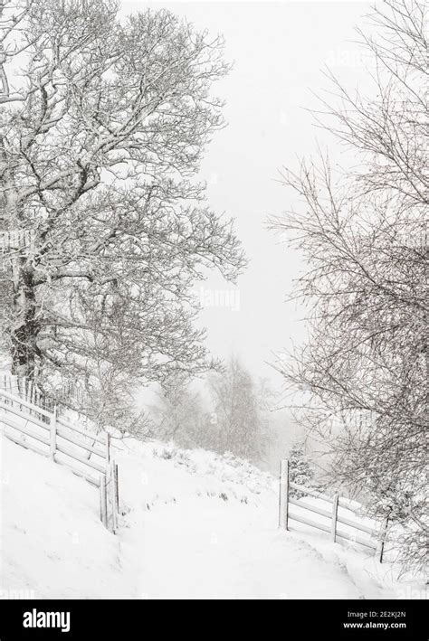 A Snowy Winter Wonderland Stock Photo Alamy