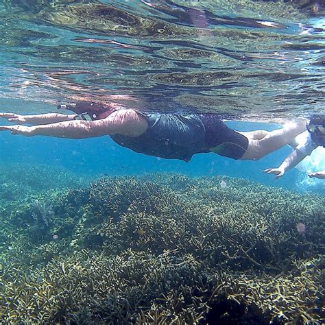 Best Snorkeling Places In Boracay Island Tour Boracay Island Best Snorkeling