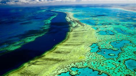 The great barrier reef lies in tropical waters where temperatures are warm enough to offer enjoyable swimming and diving year round—though averages can vary 10°f (5.5°c) from winter to summer. Great Barrier Reef - PRETEND Magazine