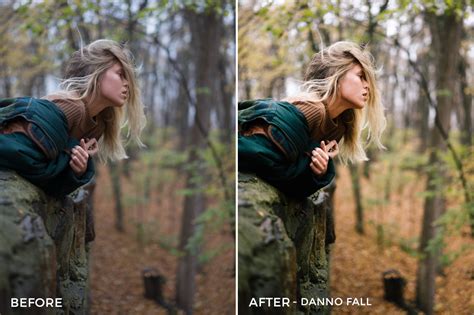 Plus, they aren't tied to any one app in any way. Noah Wolfe Lightroom Presets - FilterGrade