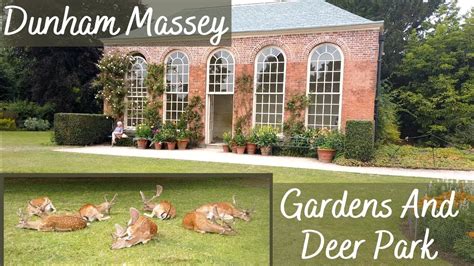 Dunham Massey Deer Park And Gardens Youtube