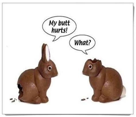 Pin By Laura Gafnea On Easter Funny Easter Bunny Easter Bunny Jokes