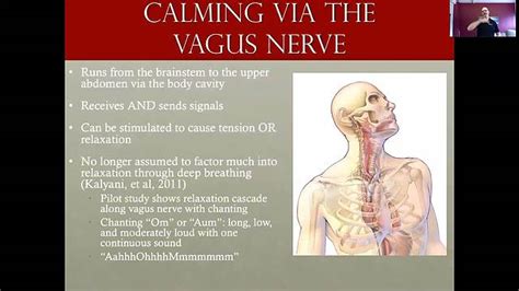 Vagus Nerve Techniques To Calm When Panicked Student Health And