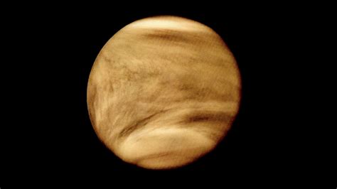 Could There Be Microbes Floating In Venus Clouds New Research Paper