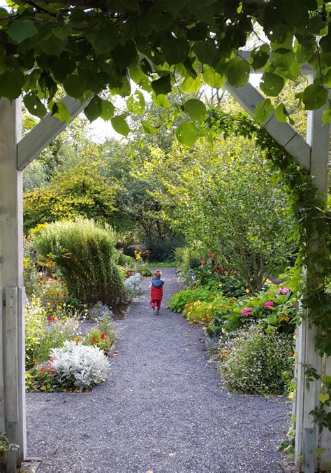 Opening & closing timings, parking options, restaurants nearby or what to see on your visit to botanischer garten kassel? Die 20 Besten Ideen Für Kassel Botanischer Garten - Beste ...