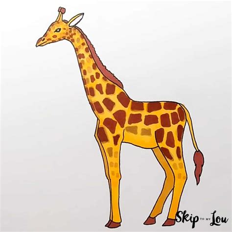 How To Draw A Giraffe Step By Step Tutorial Skip To My Lou