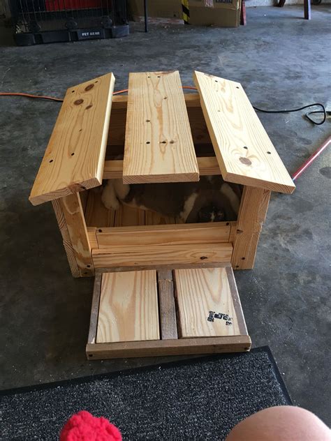 Diy Rabbit Nest Box Great For Having Babies👏🏼 Nesting