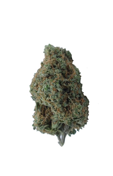 Buy Stardawg Oz Special Online Weed Dispensary