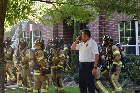 The forest floor is dotted with a variety of wildflowers such as fire pink, wintergreen, bluets and spring beauties. Woman Rescued From Spring Lakes House Fire - Spring Fire ...
