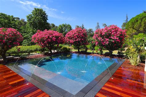 La chambre donnait sur la piscine. Piscine miroir : un miroir d'eau par Diffazur | Piscines ...