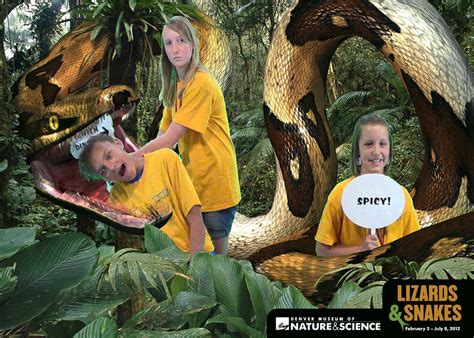 Lizards And Snakes Photo Booth Having Fun At The Denver Mu Flickr