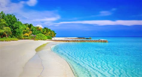 Free Download Hd Wallpaper Paradise Beach Seasons Summer Ocean