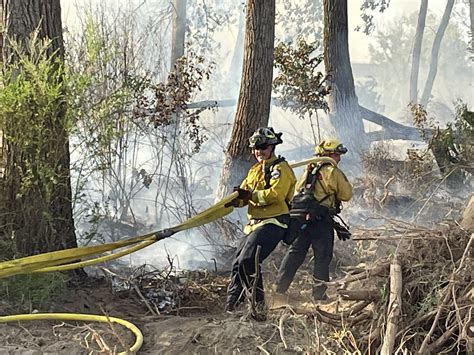 CAL FIRE Butte Unit/Butte County Fire Department on Twitter: "#Dogfire