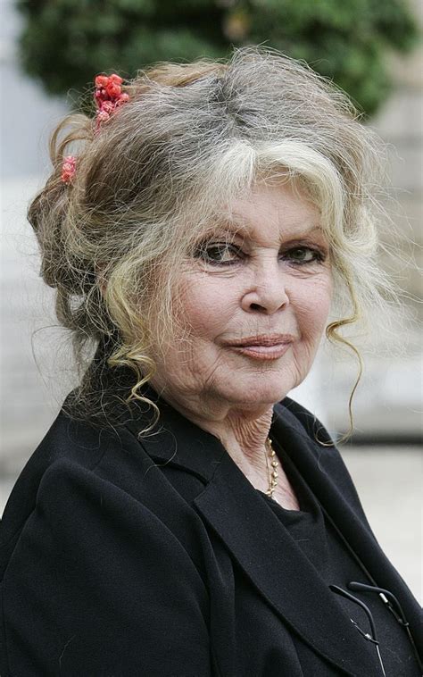 Brigitte Bardot Blamed Her Son For Not Giving Her The Maternal Instinct Cut All Contact For